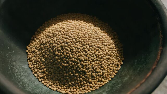 Fenugreek seeds falling gently into a dark clay bowl.