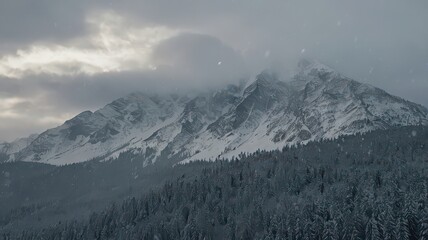 Obraz premium Snow-Covered Mountains and Forest Under a Cloudy Winter Sky