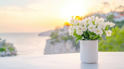 White flowers in a vase, ocean view