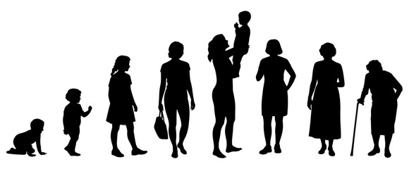 Female life stages silhouette. Woman's age progression vector illustration. Women's generation silhouettes on a white background.