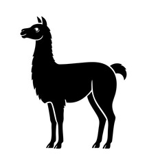 Alpaka lama kontur