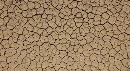 Top-down view of cracked dry soil showing natural earth texture and color, suitable for environmental themes.