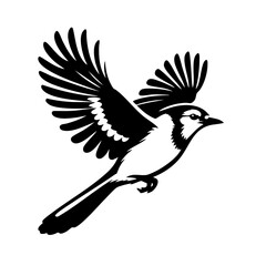 Obraz premium Majestic Bird in Flight: Black and White Avian Silhouette