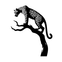 Fototapeta premium Majestic Leopard in Tree: Wildlife Silhouette