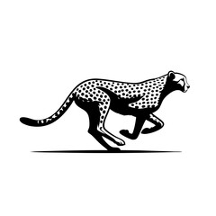Fototapeta premium Cheetah in Motion: A Black and White Masterpiece