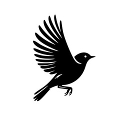 Fototapeta premium Majestic Bird in Flight: Black and White Silhouette