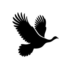 Obraz premium Majestic Bird in Flight: Black and White Silhouette