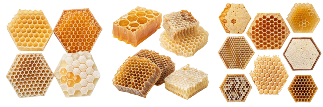 Set of honeycomb structures showcasing variations isolated on a transparent background.