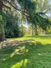 Sunny Park Landscape with Tree Shadows taken at sanderingham park 29th April 13.12pm © Emma