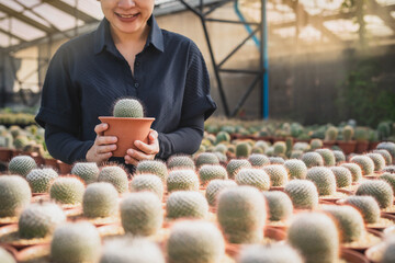 Beautiful Asian female farmer in apron, smiling holding a little pot of cute cactus while checking quality of cactus plants in a cactus greenhouse farm.