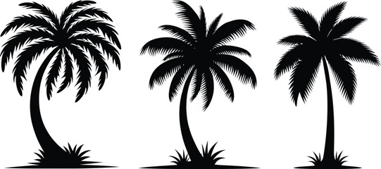 palm tree silhouette | Black and White Beach with Ocean Waves and Palm Tree| vector illustration Isolated on White Background