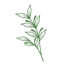 Minimalist leaf illustration set. Leaf illustration for wedding. Elegant line art leaf illustrations for wedding invitation decoration