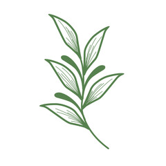 Minimalist leaf illustration set. Leaf illustration for wedding. Elegant line art leaf illustrations for wedding invitation decoration
