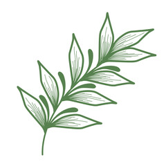 Minimalist leaf illustration set. Leaf illustration for wedding. Elegant line art leaf illustrations for wedding invitation decoration