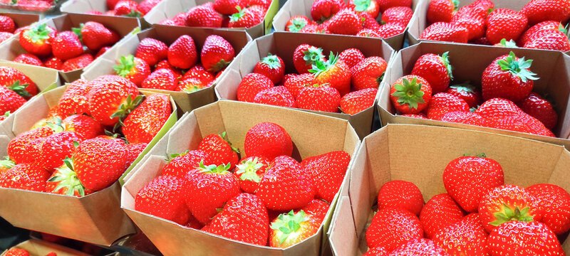 Strawberries in cardboard boxes at the supermarket. Berry season