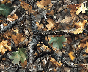 A realistic photo of a camouflage pattern with green leaves and brown oak tree branches