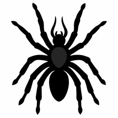 Clean Tarantula Silhouette Design