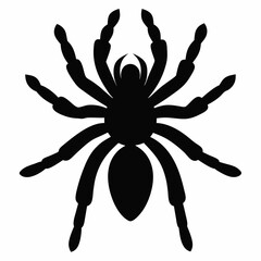 Clean Tarantula Silhouette Design