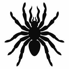 Clean Tarantula Silhouette Design