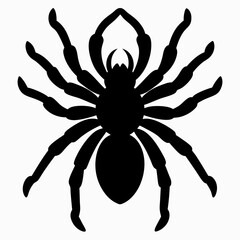 Clean Tarantula Silhouette Design