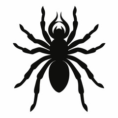 Clean Tarantula Silhouette Design