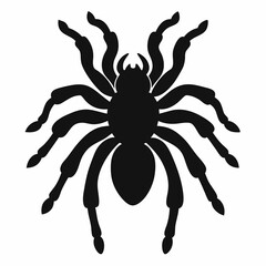 Clean Tarantula Silhouette Design