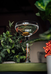 Classic Dirty Martini in Elegant Crystal Coupe with Olive Garnish