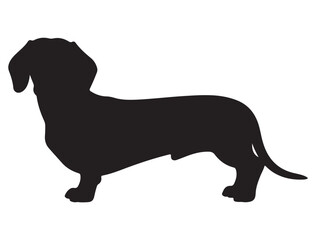 DACHSHUND SILHOUETTE WHITE BACKGROUND