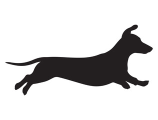 DACHSHUND SILHOUETTE WHITE BACKGROUND