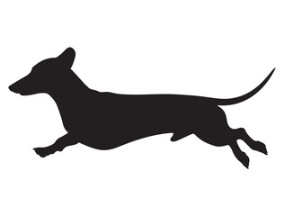 DACHSHUND SILHOUETTE WHITE BACKGROUND