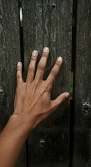 Hand on weathered wood fence exploring texture concepts of touch and connection with nature simplicity