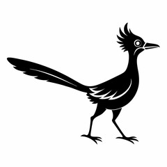 Crisp Roadrunner Silhouette Logo