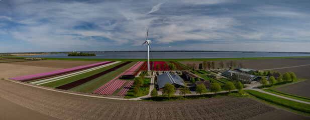 Aerial landscape of neat rows of colorful flowers, traditional Dutch farm with solar panels on the...