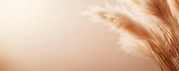 Fototapeta premium Elegant arrangement of tall feathery plants against a neutral background