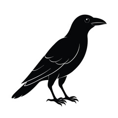 Obraz premium crow silhouette bird vector icon dark and strong