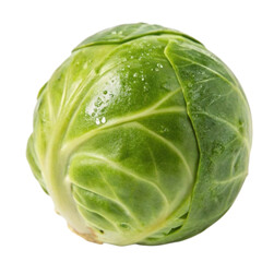 Obraz premium Single Fresh Green Brussel Sprout Vegetable Closeup Isolated on Gray Background isolated on transparent background Generative AI
