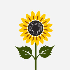 Vector Sunflower Illustration_Bright Yellow Petals and Green Leaves on White Background_Floral Design for Summer Projects and Nature Themes