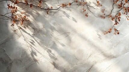Autumn Leaves Shadow on Gray Wall Texture