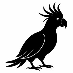 Graceful Cockatoo Silhouette Print