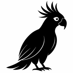 Graceful Cockatoo Silhouette Print