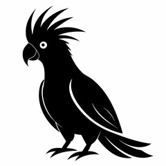 Graceful Cockatoo Silhouette Print