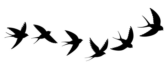Flying Birds Silhouette Set. Swallow Flight Motion Vector Illustration.