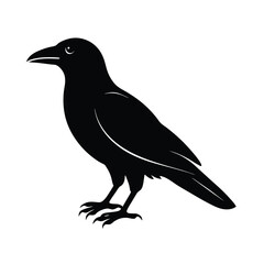 Obraz premium crow silhouette bird vector icon dark and strong