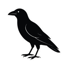 Fototapeta premium crow silhouette bird vector icon dark and strong