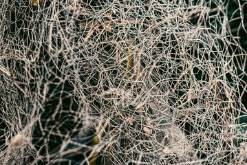 Photo of a residential security fence