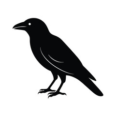 Obraz premium crow silhouette bird vector icon simple and clean
