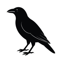 Fototapeta premium crow silhouette vector sleek and bold lines isol
