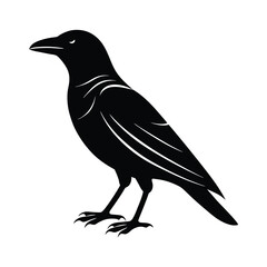 Fototapeta premium crow silhouette vector sleek and bold lines isol