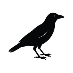 Fototapeta premium Crow Silhouette Bird Vector Icon Simple and Clean 4