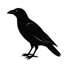 Fototapeta premium Crow Silhouette Vector Bold and Sleek Design Isol